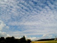 Altocumulus